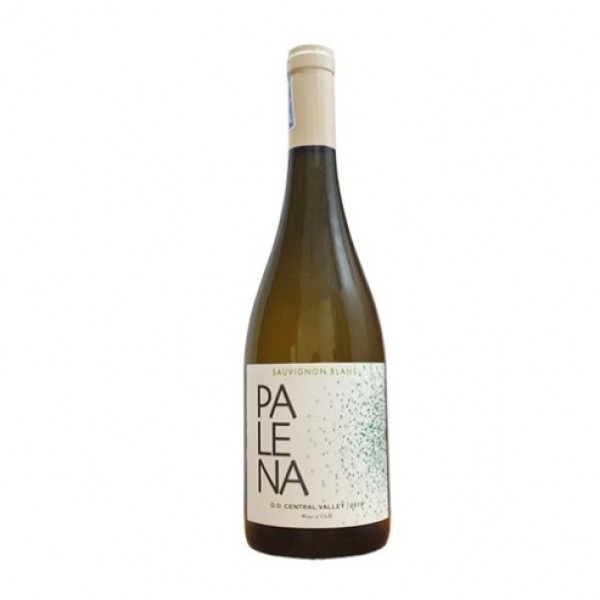 Rượu vang Palena Sauvignon Blanc