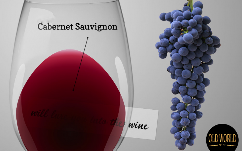 Các loại nho phổ biến để làm rượu