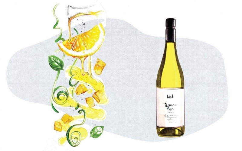 SỰ KẾT HỢP HOÀN HẢO GIỮA CÁC LOẠI RƯỢU VANG CỔ ĐIỂN VÀ THỨC ĂN CHO MÙA HÈ