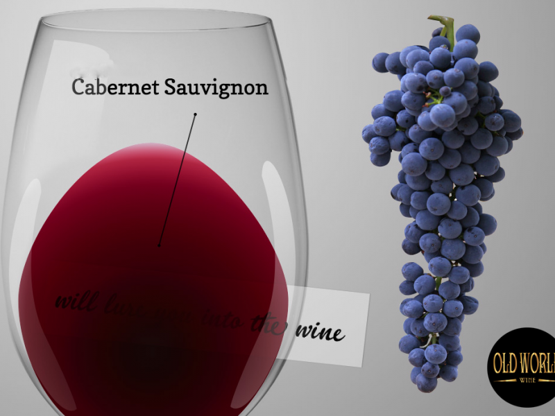 Các loại nho phổ biến để làm rượu